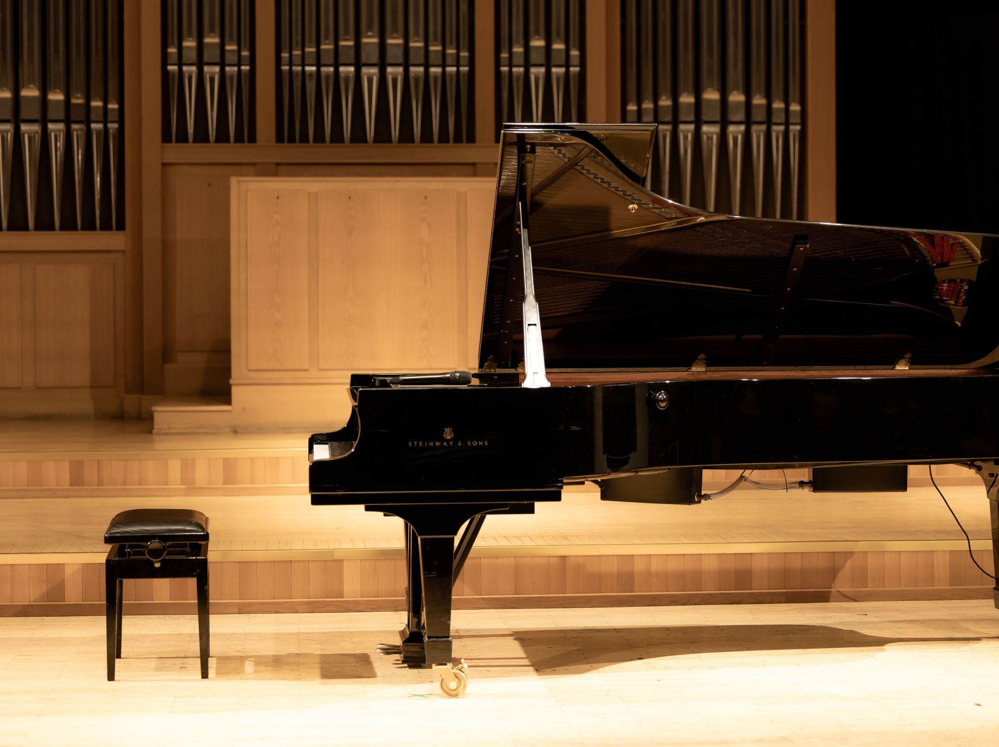 Открытый рояль. Закрытие Steinwey-фестиваля