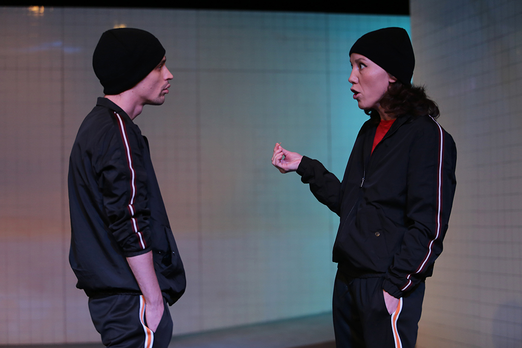 ЗВЕРИНЫЕ ИСТОРИИ