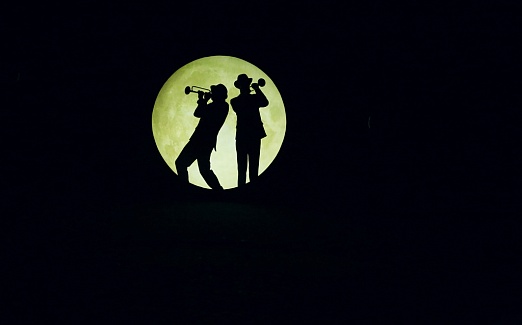 НОЧЬ ЛЮБОВНЫХ ПОМЕШАТЕЛЬСТВ