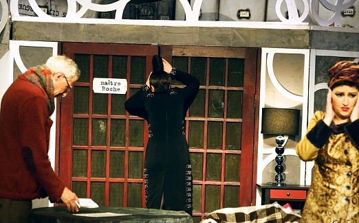 ПОПУГАИХА И ЦЫПЛЁНОК (или «Ищите женщину")