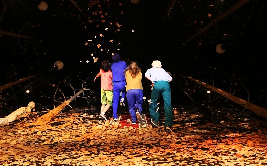 НОЧЬ ЛЮБОВНЫХ ПОМЕШАТЕЛЬСТВ