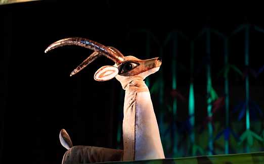 Золотая Антилопа