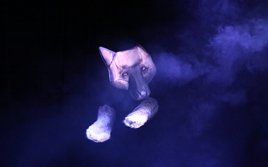 Другими глазами войны