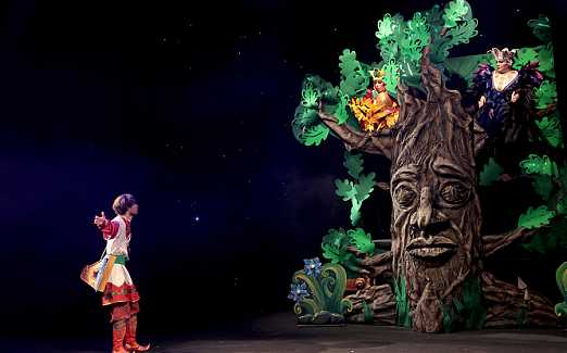 СЕМЕЙНАЯ ЁЛКА  МОЛОДЁЖНОГО ТЕАТРА «Как Садко за снегом ходил»