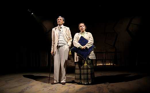 ВИШНЁВЫЙ САД